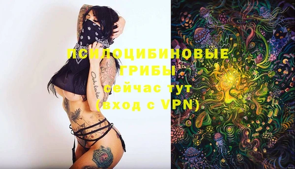 ешки Медногорск