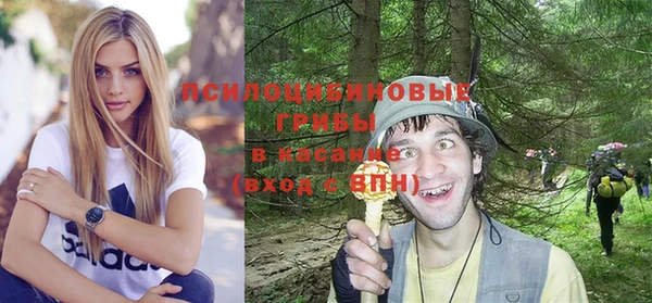 ешки Медногорск