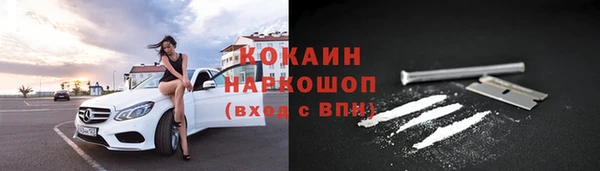 ешки Медногорск