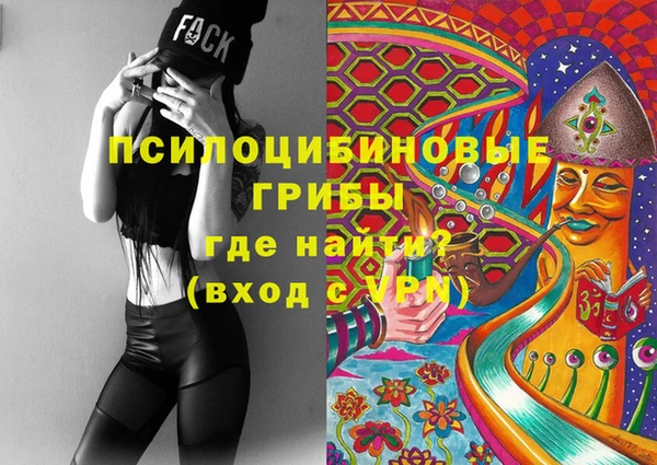 ешки Медногорск