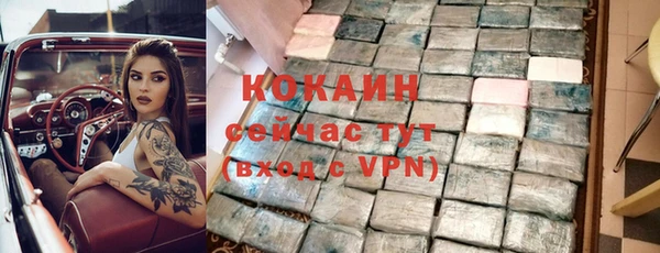 ешки Медногорск
