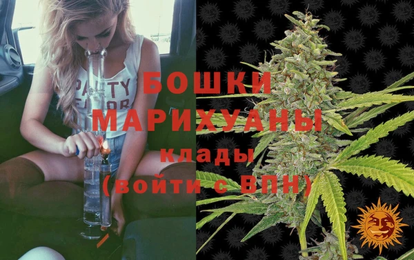 ешки Медногорск
