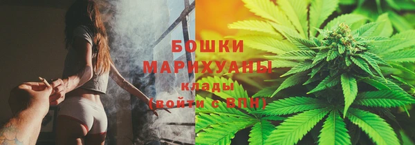 ешки Медногорск